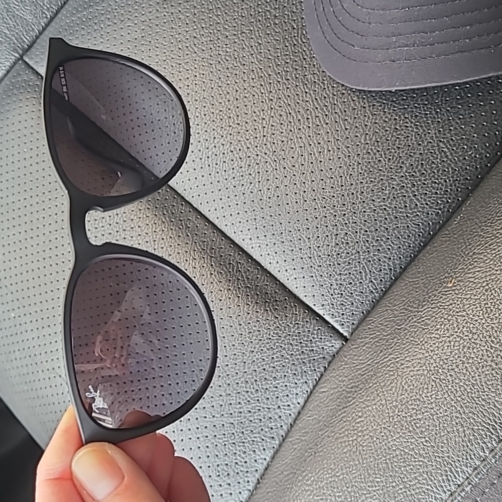 Ray Ban Erika Sunglasses